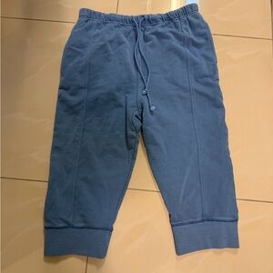 Free People Blue Jogger Sweatpants Size Medium